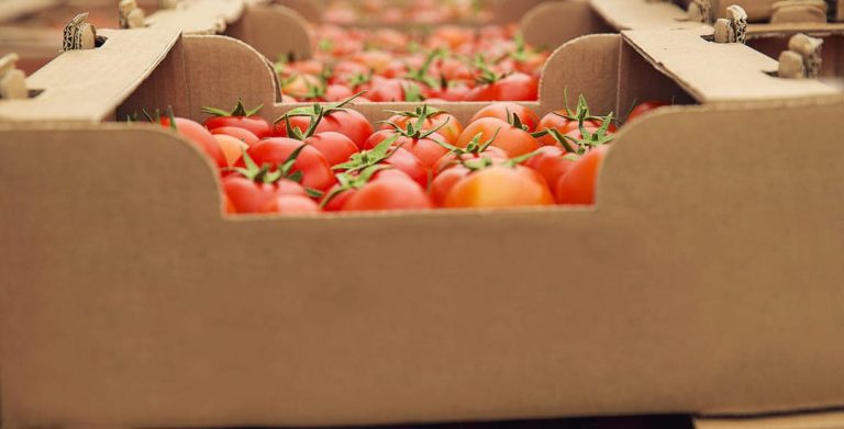 Exportaciones agropecuarias crecieron 35% en el primer semestre de 2025: banano, aguacate y café lideran el aumento
