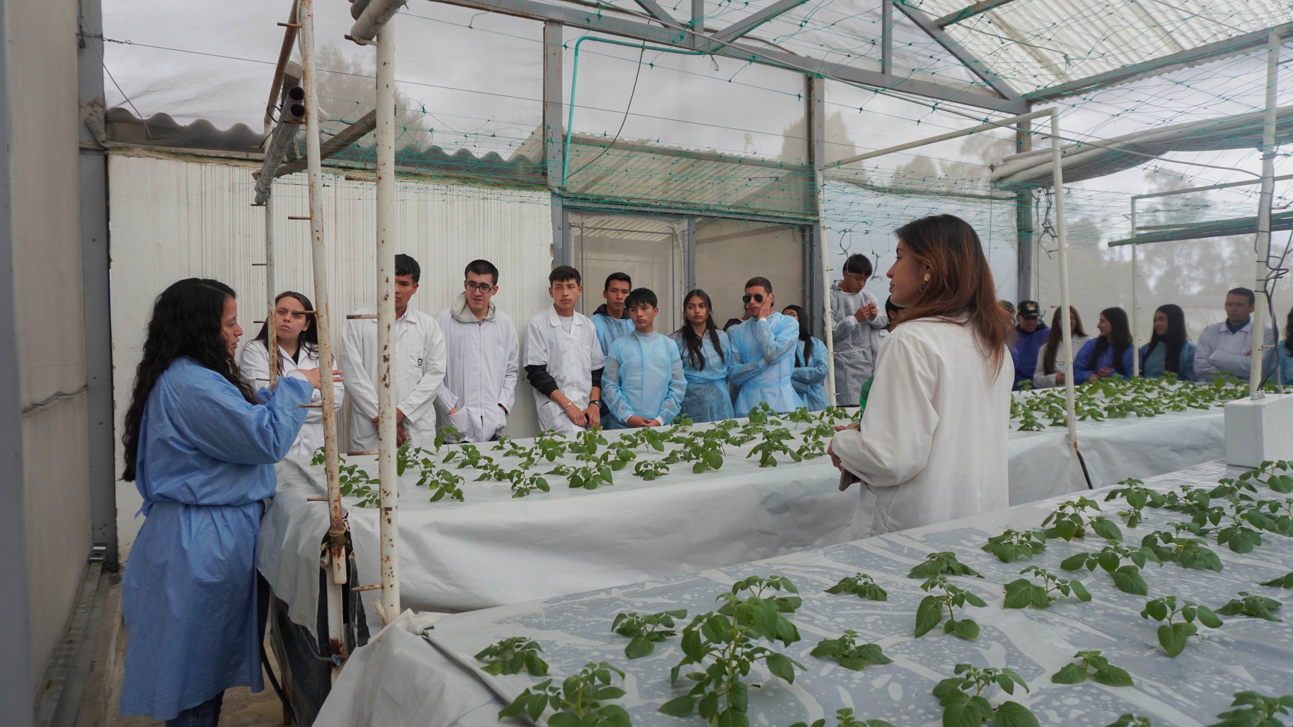 UNIAGRARIA e IICA fortalecen el proceso AgriSTEAM con visita académica al Centro de Investigación Tibaitatá de AGROSAVIA