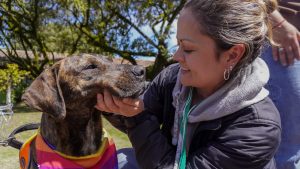 UNIAGRARIA realizó su primera jornada de adopción de perros y gatos en alianza con entidades distritales